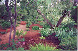 A peacefull garden walk