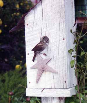 Wren