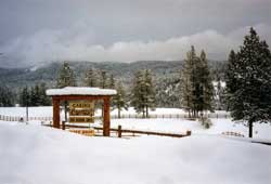 snowy mountain meadows and national forest